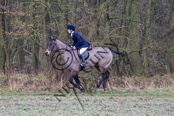 Essex Hunt 28.2.15-45