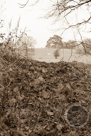 Essex Hunt 1.1.15-57