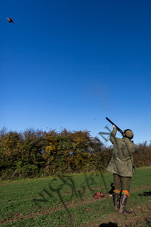 schwier shoot 11.17-27