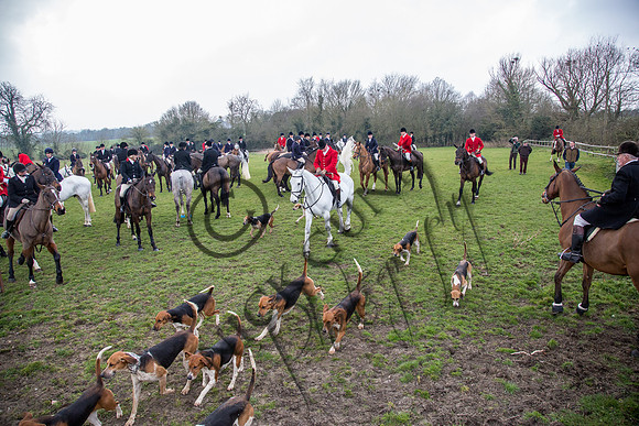 Essex Hunt 16.3.15-42