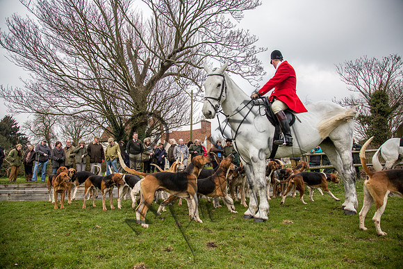 Essex Hunt 16.3.15-19