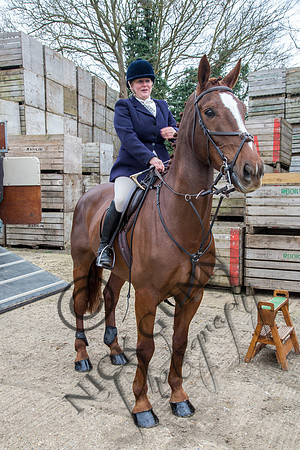 Essex Hunt 14.3.15-7