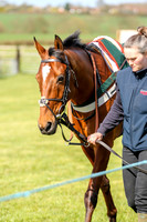 point to point 2015-15