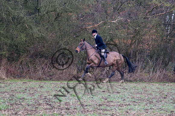 Essex Hunt 28.2.15-36