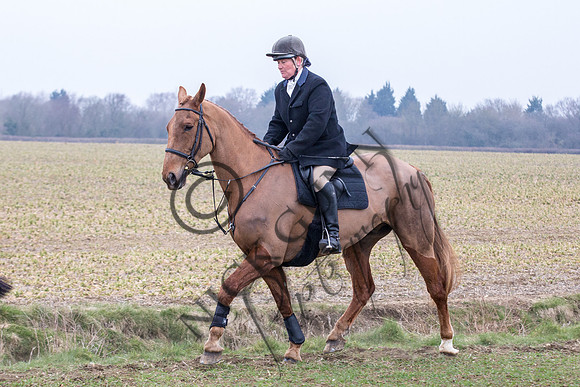 Essex Hunt 14.3.15-44