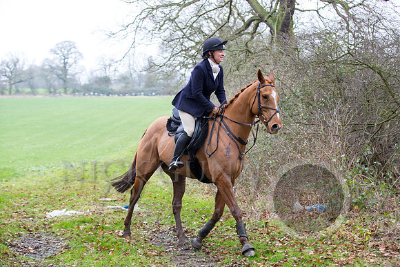 Essex Hunt 1.1.15-93