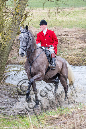 Essex Hunt 11.2.15-15
