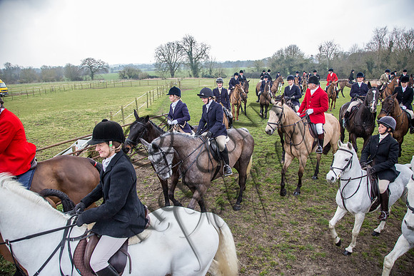 Essex Hunt 16.3.15-56