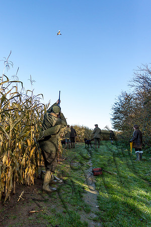 schwier shoot 11.17-19