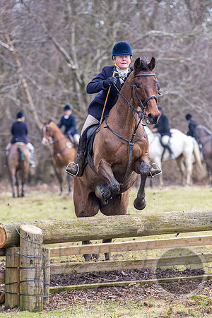 Essex Hunt 25.2.15-118