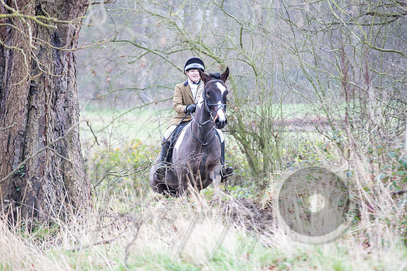 Essex Hunt 1.1.15-66