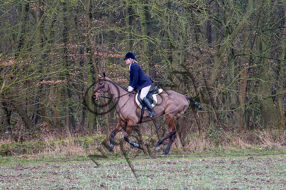 Essex Hunt 28.2.15-48
