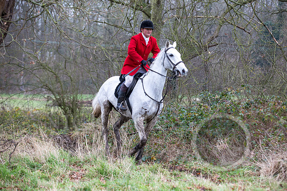 Essex Hunt 1.1.15-72