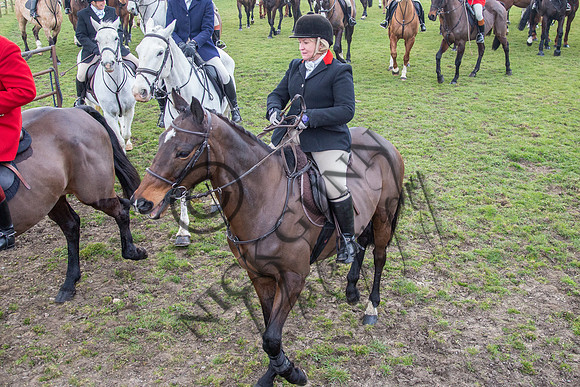 Essex Hunt 16.3.15-45