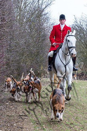 Essex Hunt 14.3.15-18