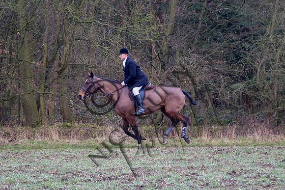Essex Hunt 28.2.15-38