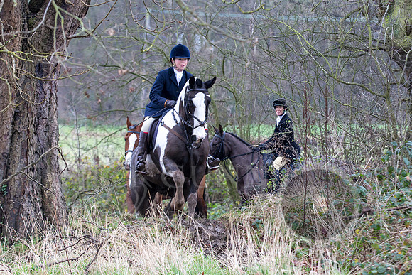 Essex Hunt 1.1.15-74