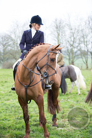 Essex Hunt 1.1.15-16