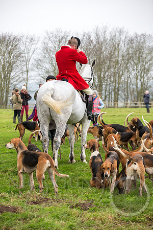 Essex Hunt 1.1.15-23