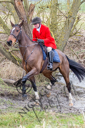 Essex Hunt 11.2.15-19