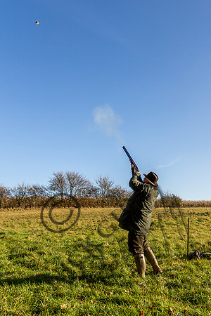 schwier shoot 11.17-56