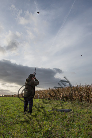 schwier shoot 11.17-69