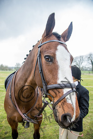 Essex Hunt 16.3.15-8