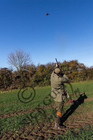 schwier shoot 11.17-29