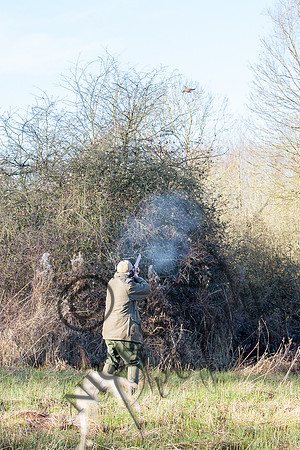 Beaters Shoot 17.1.15-31