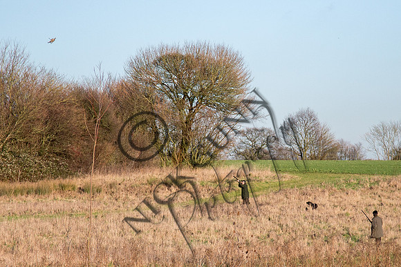 Beaters Shoot 17.1.15-37