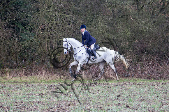 Essex Hunt 28.2.15-40