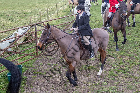 Essex Hunt 16.3.15-43