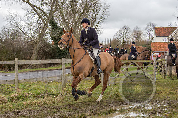 Essex Hunt 25.2.15-76