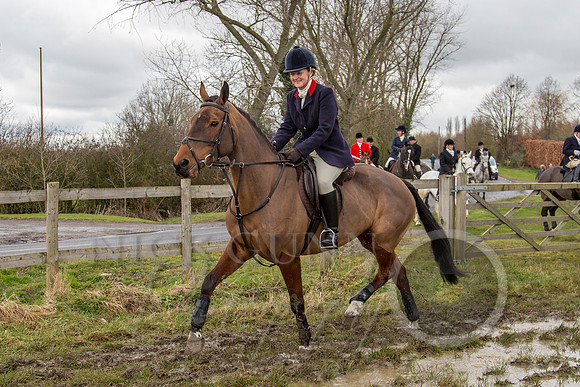 Essex Hunt 25.2.15-84