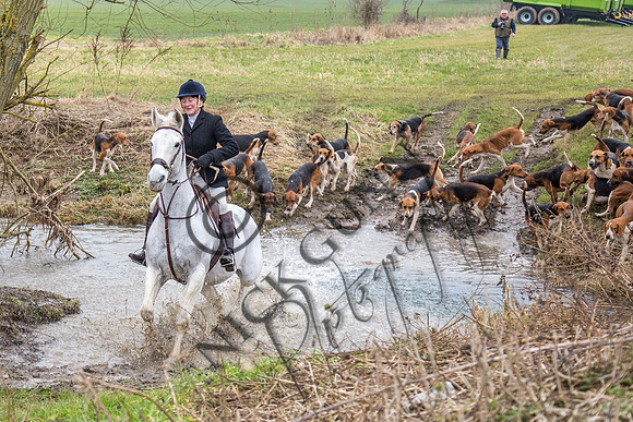 Essex Hunt 11.2.15-8