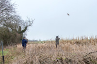 Beaters Shoot 17.1.15-18