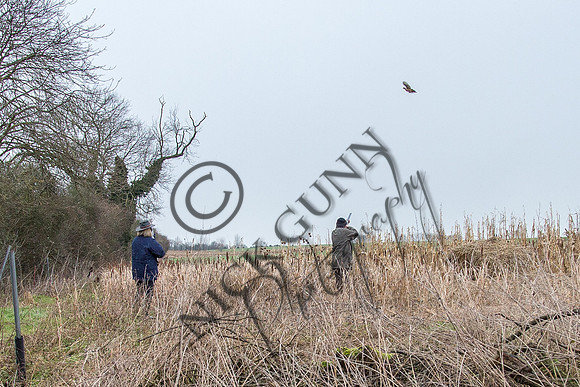 Beaters Shoot 17.1.15-18