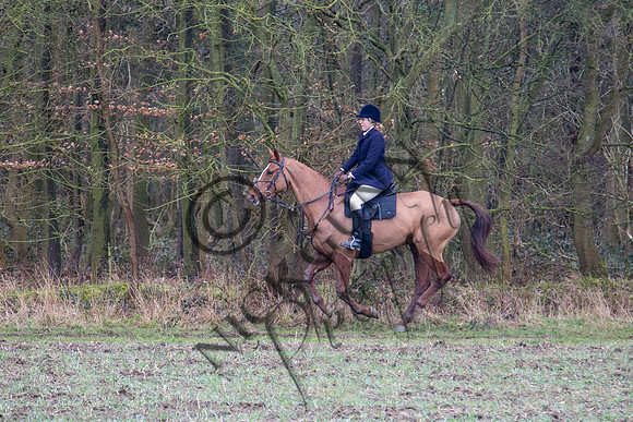 Essex Hunt 28.2.15-49
