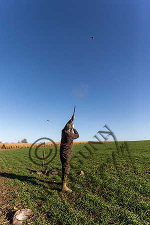schwier shoot 11.17-41