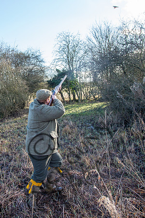 Beaters Shoot 17.1.15-30