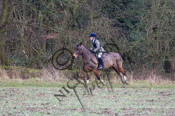 Essex Hunt 28.2.15-43