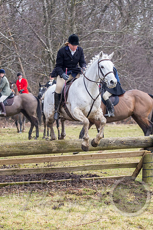 Essex Hunt 25.2.15-124