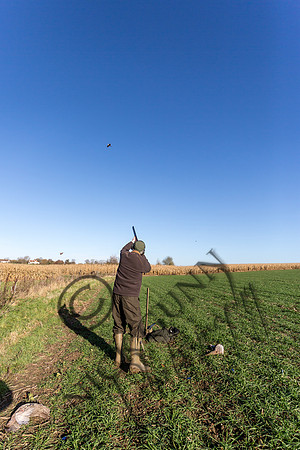 schwier shoot 11.17-43