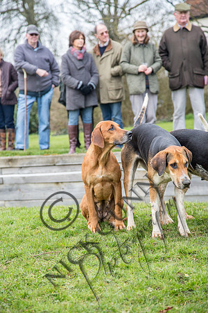 Essex Hunt 16.3.15-20