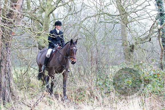 Essex Hunt 1.1.15-61