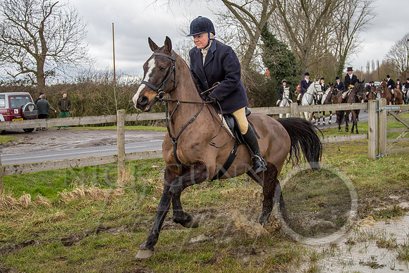 Essex Hunt 25.2.15-68