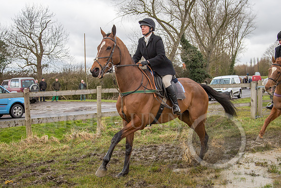 Essex Hunt 25.2.15-93