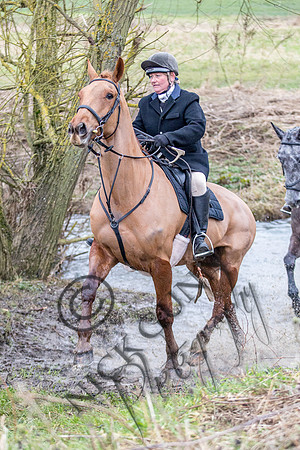 Essex Hunt 11.2.15-14