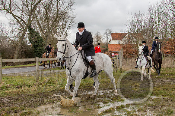 Essex Hunt 25.2.15-86