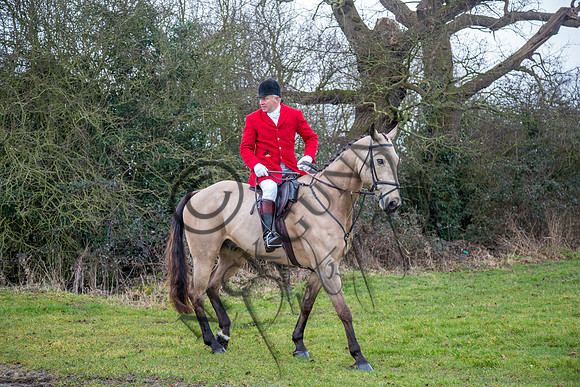 Essex Hunt 28.2.15-19